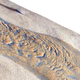 Image: Hillshade digital elevation model for the final morphology produced by a water flow in martian conditions / M. Massé